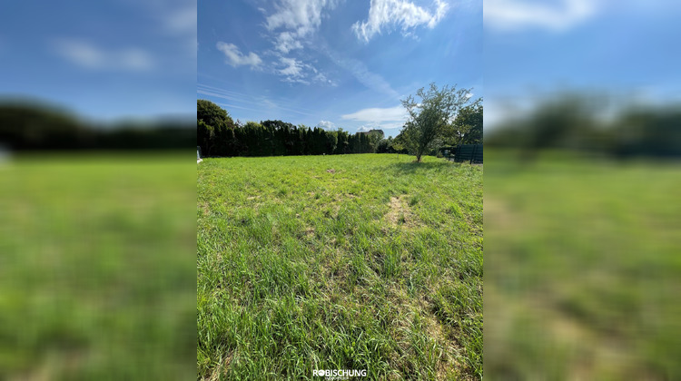 Ma-Cabane - Vente Terrain Dannemarie, 879 m²