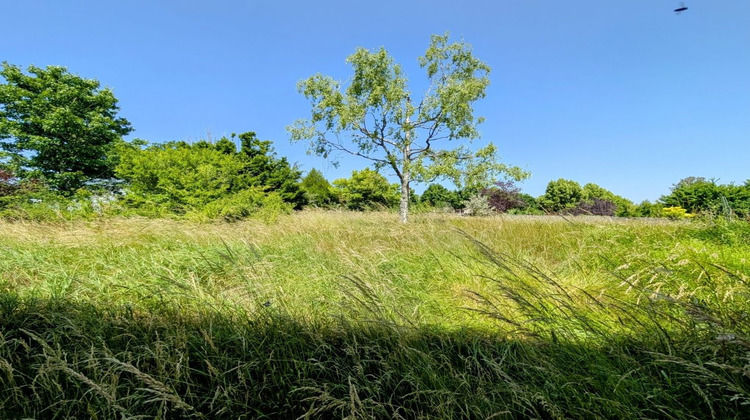 Ma-Cabane - Vente Terrain Darois, 1352 m²