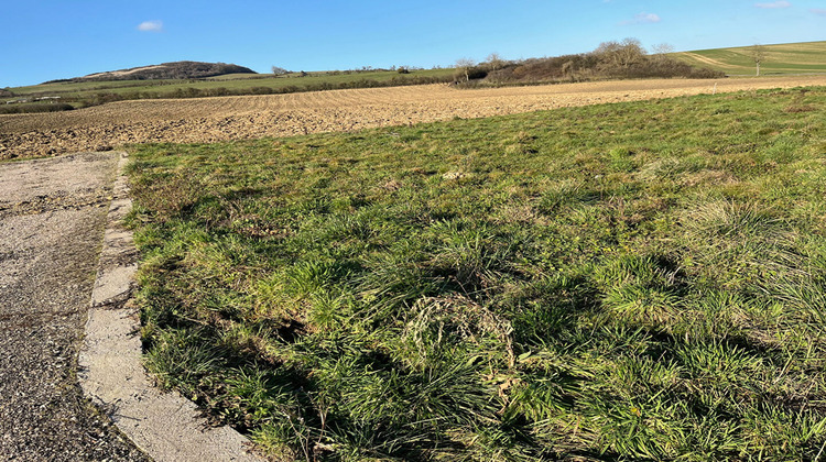 Ma-Cabane - Vente Terrain DELME, 700 m²