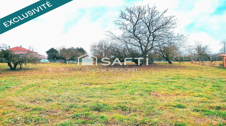 Ma-Cabane - Vente Terrain Delme, 1241 m²