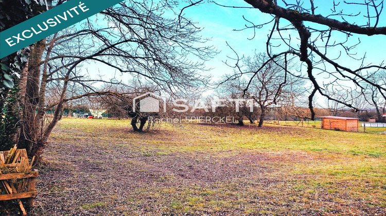 Ma-Cabane - Vente Terrain Delme, 1241 m²