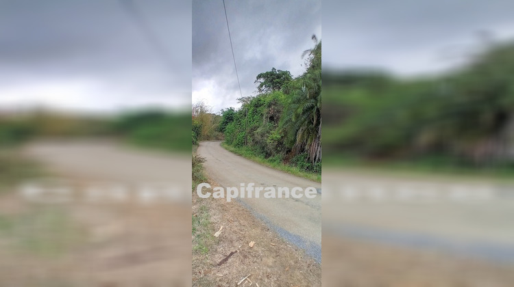 Ma-Cabane - Vente Terrain DEMBENI, 7647 m²