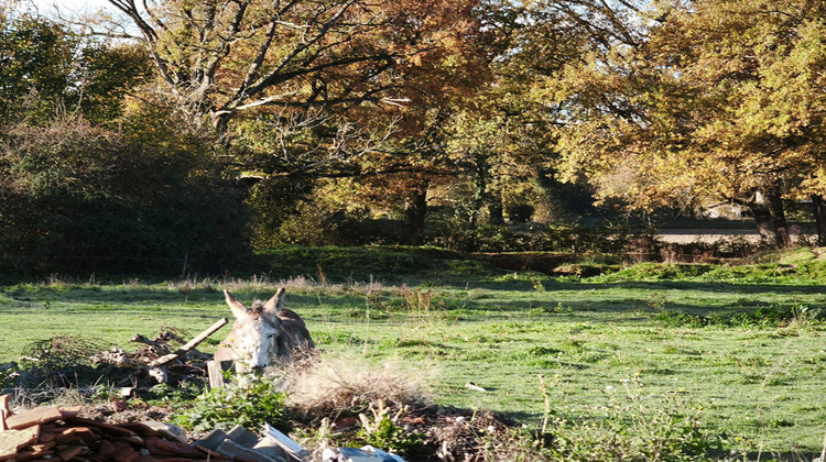 Ma-Cabane - Vente Terrain DEVAY, 3426 m²