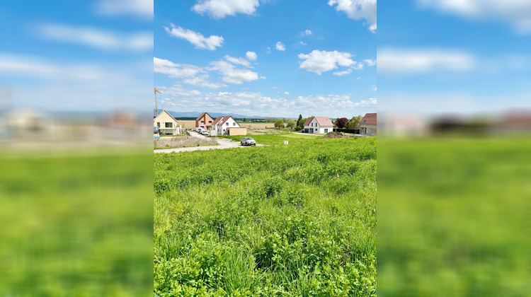 Ma-Cabane - Vente Terrain Dietwiller, 530 m²
