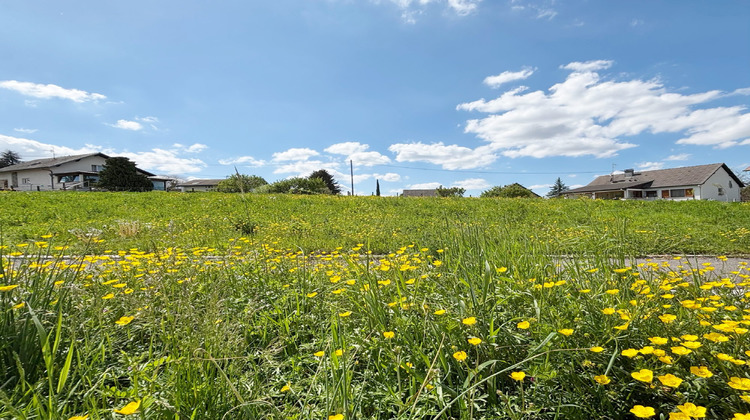Ma-Cabane - Vente Terrain Dietwiller, 530 m²