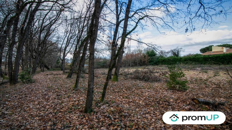 Ma-Cabane - Vente Terrain Dieupentale, 2689 m²