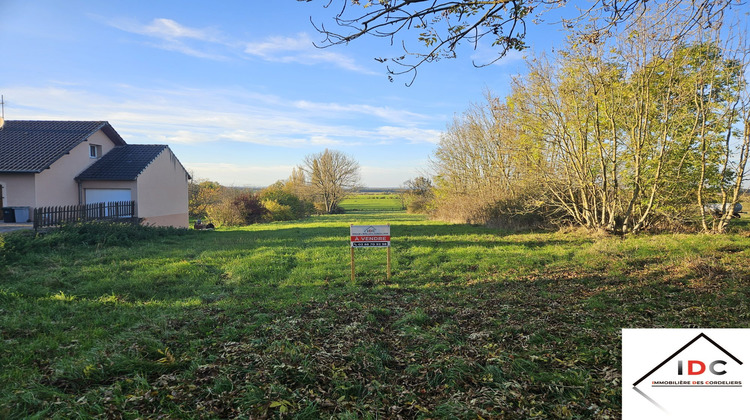 Ma-Cabane - Vente Terrain Dieuze, 6006 m²