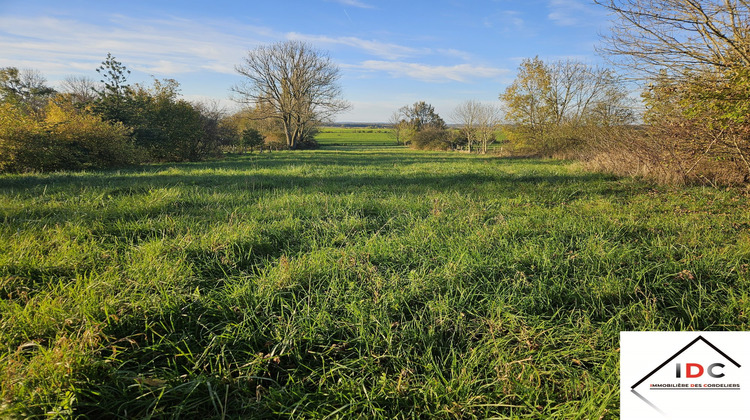 Ma-Cabane - Vente Terrain Dieuze, 6006 m²