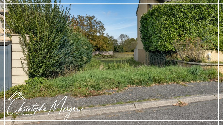 Ma-Cabane - Vente Terrain DIEUZE, 3031 m²