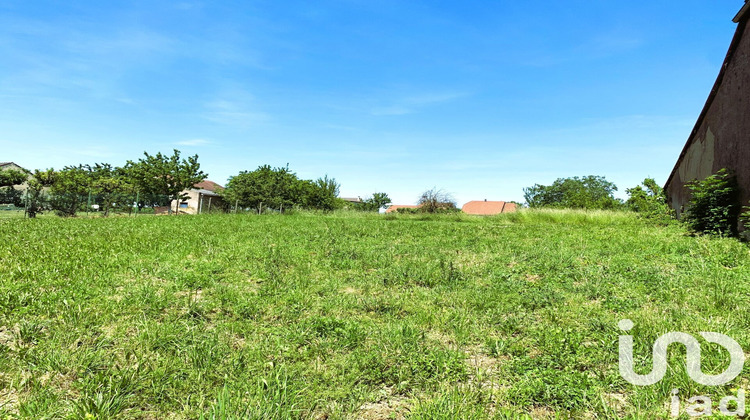 Ma-Cabane - Vente Terrain Diffembach-Lès-Hellimer, 801 m²