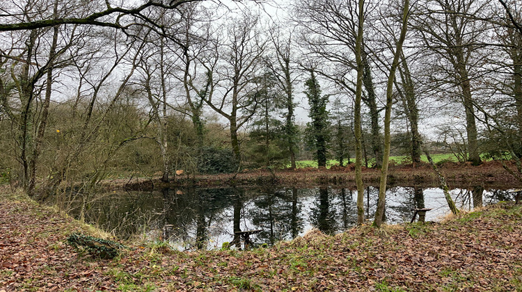 Ma-Cabane - Vente Terrain DINGE, 5300 m²