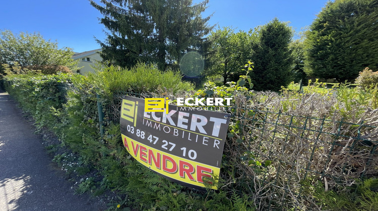 Ma-Cabane - Vente Terrain Dingsheim, 1148 m²