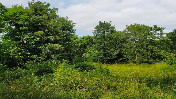 Ma-Cabane - Vente Terrain DIRAC, 1943 m²
