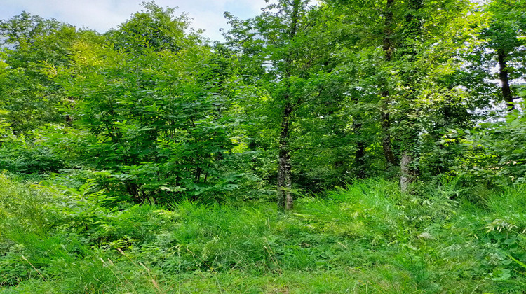 Ma-Cabane - Vente Terrain DIRAC, 1943 m²