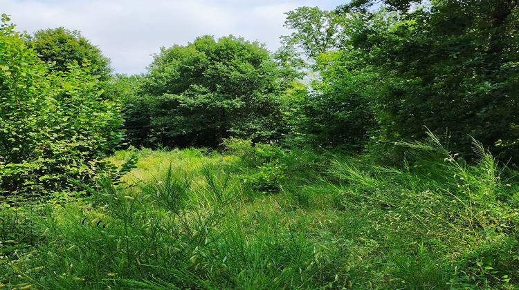 Ma-Cabane - Vente Terrain DIRAC, 1943 m²