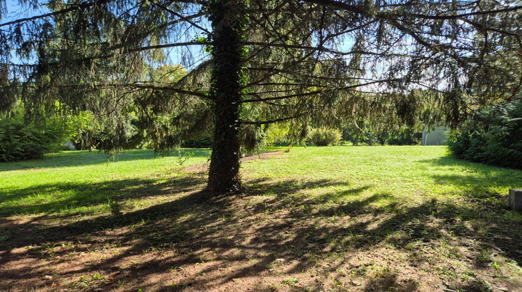 Ma-Cabane - Vente Terrain DIRAC, 3000 m²