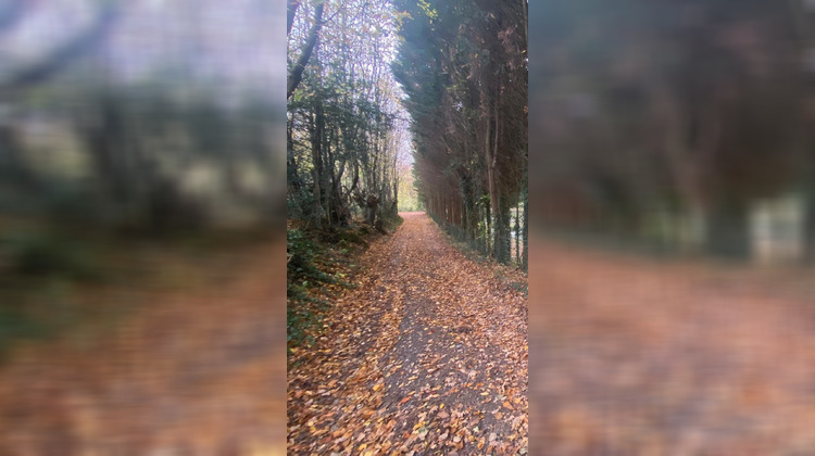 Ma-Cabane - Vente Terrain Dohem, 2850 m²