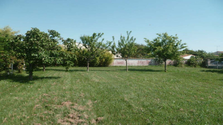 Ma-Cabane - Vente Terrain DOLUS-D'OLERON, 527 m²