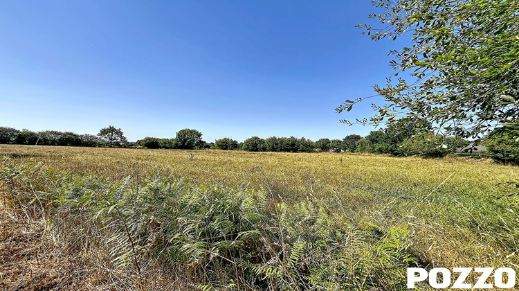Ma-Cabane - Vente Terrain DOMJEAN, 6401 m²