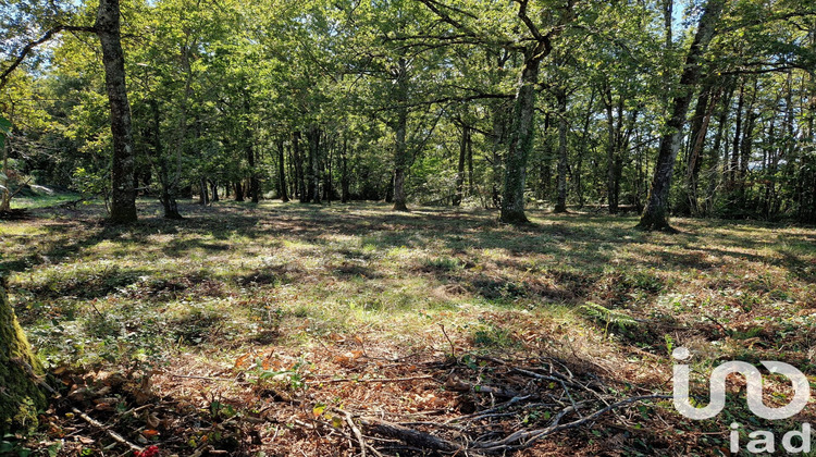 Ma-Cabane - Vente Terrain Domme, 1870 m²