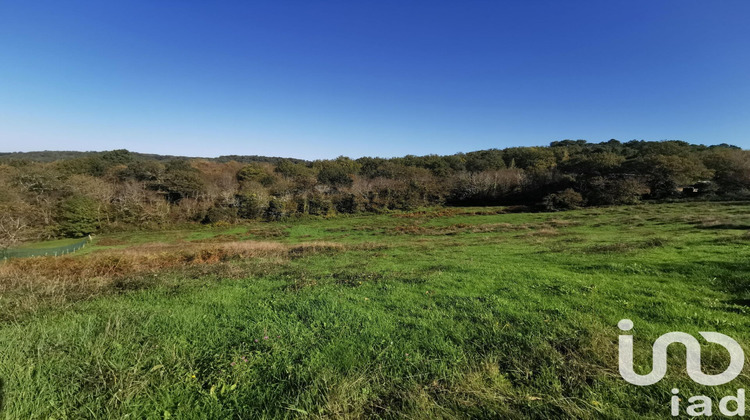 Ma-Cabane - Vente Terrain Domme, 5965 m²