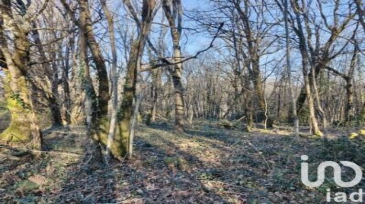 Ma-Cabane - Vente Terrain Domme, 2465 m²