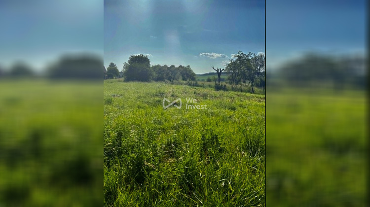 Ma-Cabane - Vente Terrain Doncourt-lès-Longuyon, 2399 m²