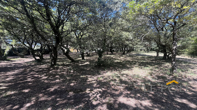 Ma-Cabane - Vente Terrain DONZERE, 1248 m²