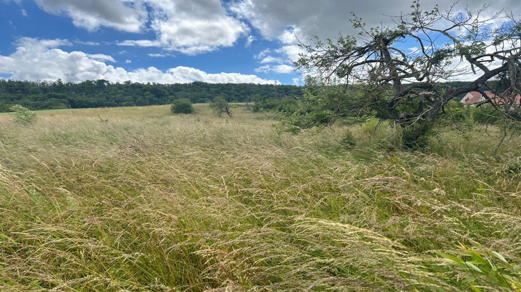 Ma-Cabane - Vente Terrain Dormans, 3349 m²