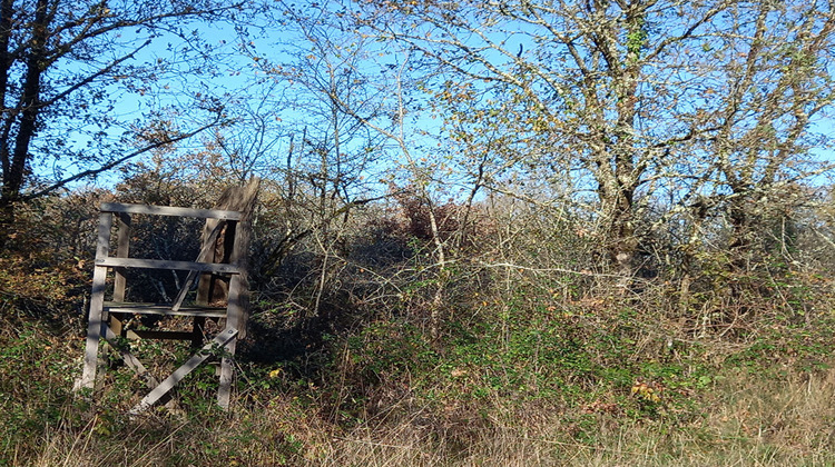 Ma-Cabane - Vente Terrain DOUADIC, 321594 m²