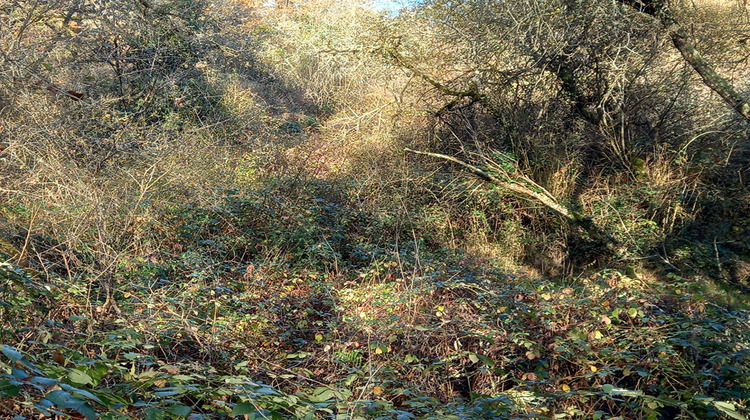 Ma-Cabane - Vente Terrain DOUADIC, 321594 m²