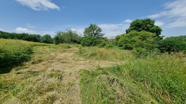 Ma-Cabane - Vente Terrain Douchapt, 3340 m²