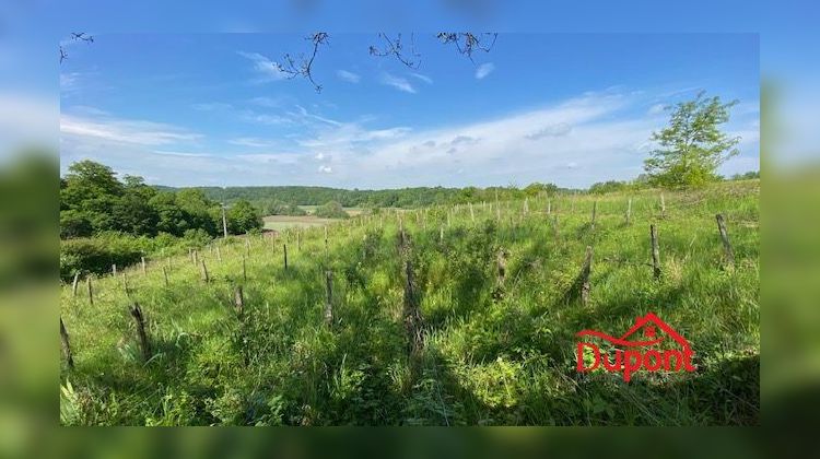 Ma-Cabane - Vente Terrain Doulevant-le-Château, 8140 m²