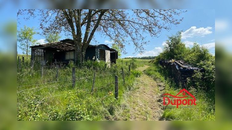 Ma-Cabane - Vente Terrain Doulevant-le-Château, 8140 m²