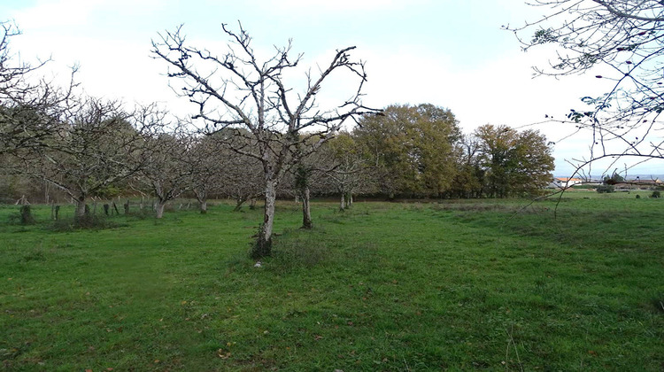 Ma-Cabane - Vente Terrain DOUZILLAC, 3972 m²