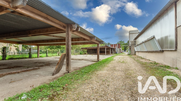 Ma-Cabane - Vente Terrain Draveil, 2490 m²