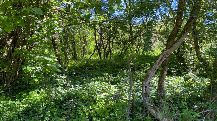 Ma-Cabane - Vente Terrain DREVANT, 1340 m²