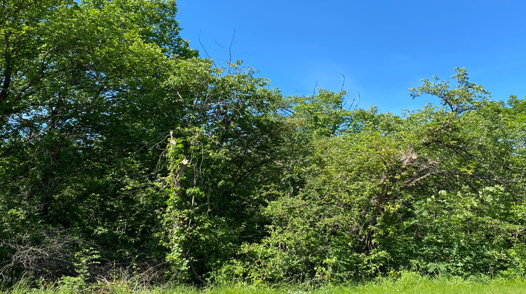 Ma-Cabane - Vente Terrain DREVANT, 1340 m²