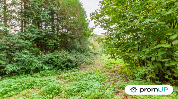 Ma-Cabane - Vente Terrain Drubec, 1600 m²