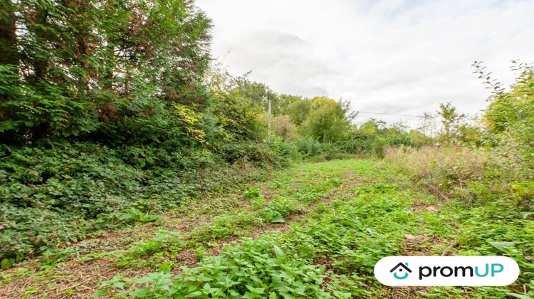 Ma-Cabane - Vente Terrain Drubec, 1600 m²