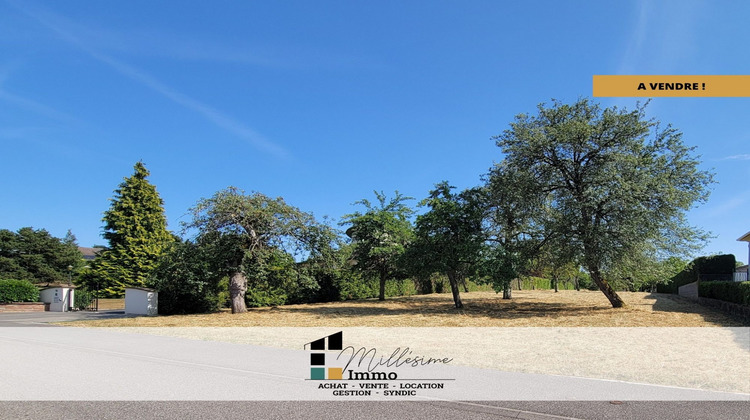 Ma-Cabane - Vente Terrain Drulingen, 3194 m²
