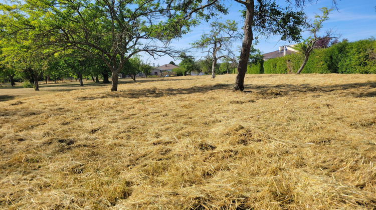 Ma-Cabane - Vente Terrain Drulingen, 3194 m²