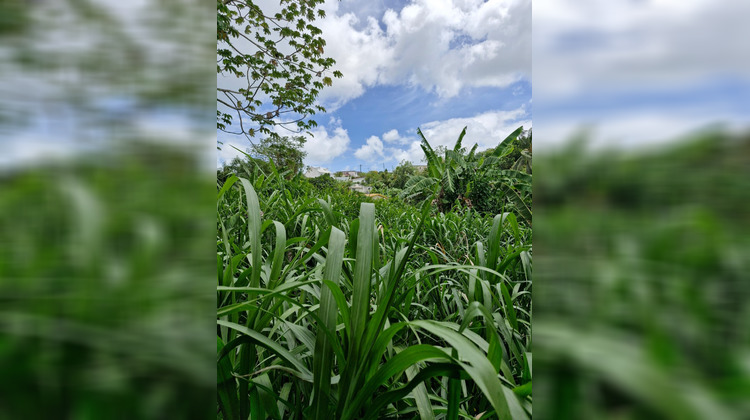 Ma-Cabane - Vente Terrain DUCOS, 735 m²