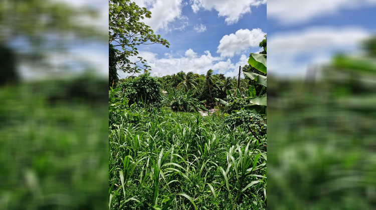 Ma-Cabane - Vente Terrain DUCOS, 500 m²