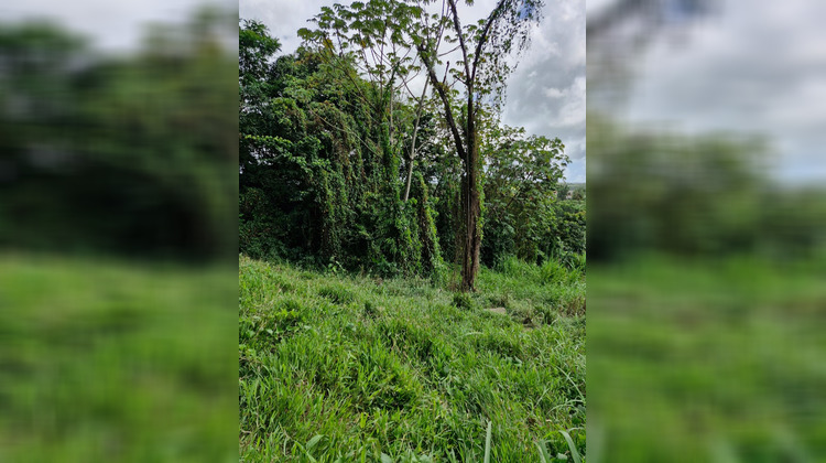 Ma-Cabane - Vente Terrain DUCOS, 500 m²