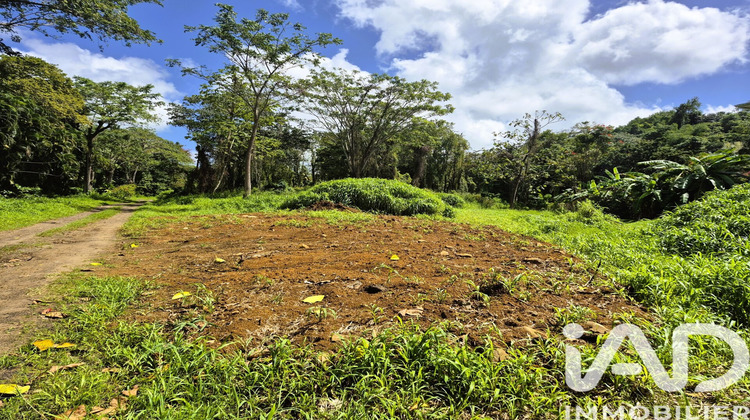 Ma-Cabane - Vente Terrain Ducos, 3292 m²
