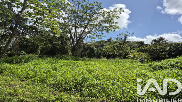 Ma-Cabane - Vente Terrain Ducos, 3292 m²