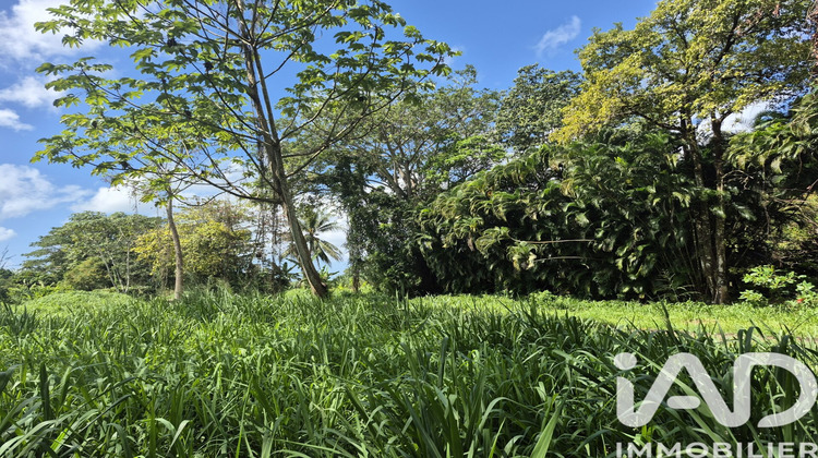 Ma-Cabane - Vente Terrain Ducos, 3292 m²