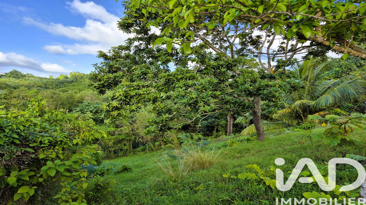 Ma-Cabane - Vente Terrain Ducos, 1405 m²