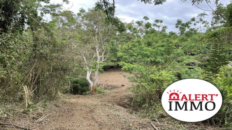 Ma-Cabane - Vente Terrain Dumbéa, 6000 m²